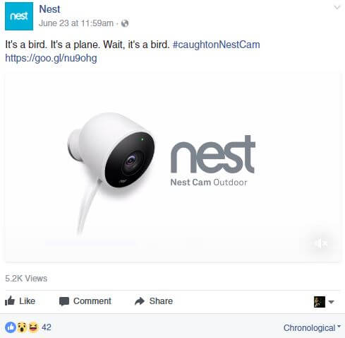 Nest FB