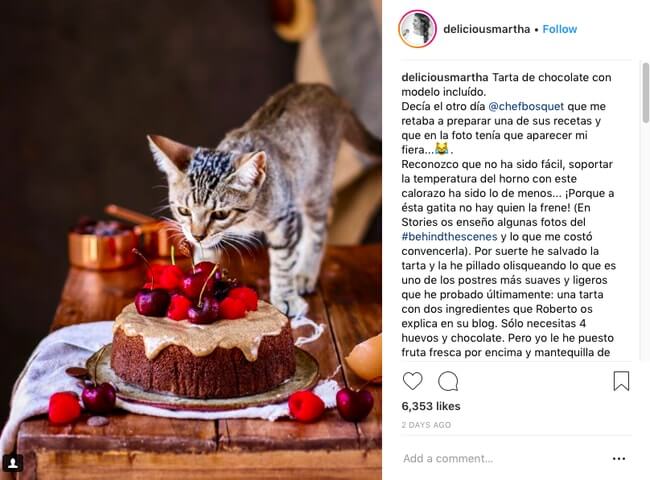 Influencer Content of Cat with Cake