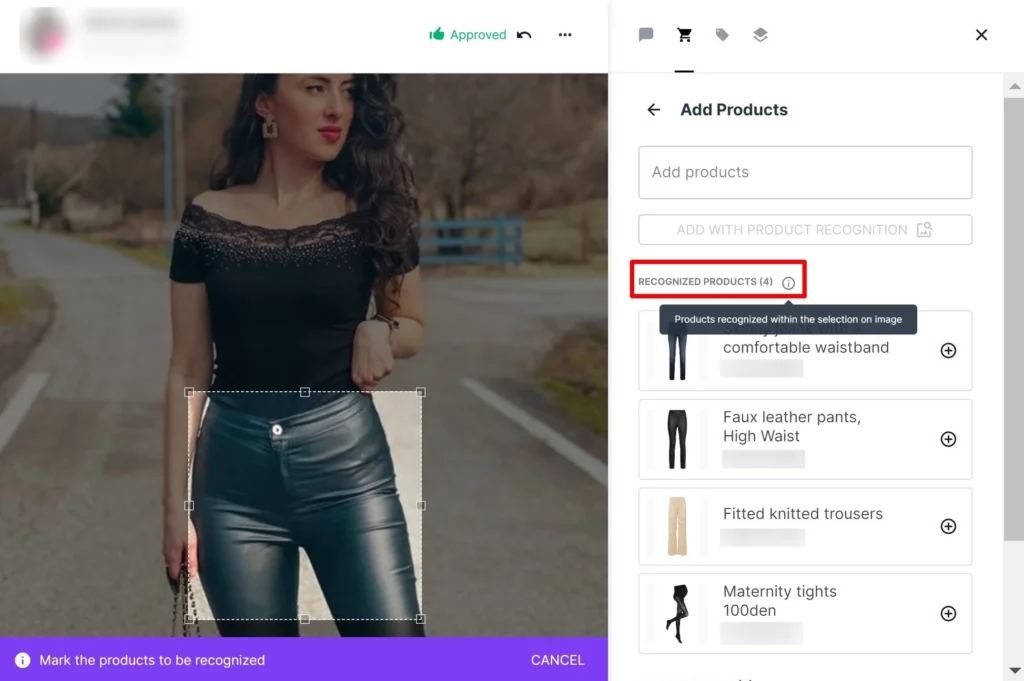 Flowbox AI Product Recognition tool identifying womans clothing item 