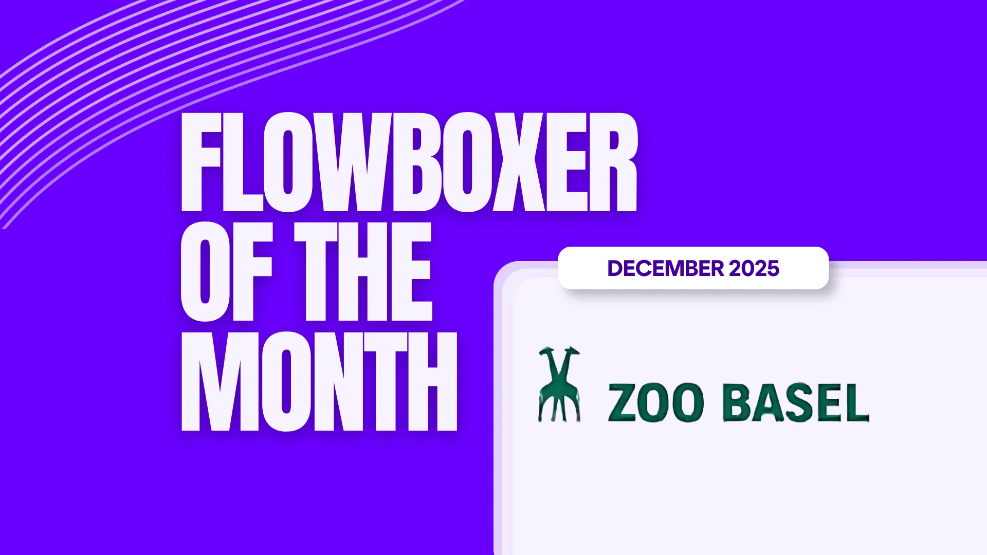 Flowboxer of the Month: December 2025 — Zoo Basel