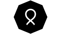 paper collective logo